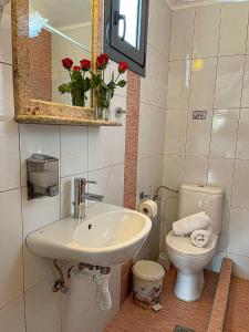 a bathroom with a sink and a toilet and a mirror at Bella Mare Villa Sithonia in Akti Salonikiou