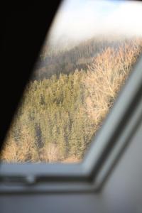 Gallery image of Apartments Vera in Spital am Semmering
