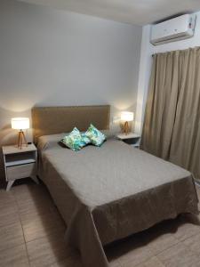 sypialnia z łóżkiem z 2 poduszkami w obiekcie Jardin del Centro w mieście Villa Elisa