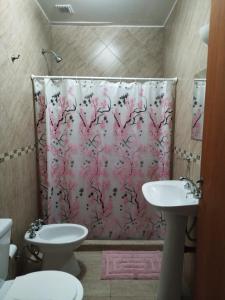Łazienka wyposażona jest w różową zasłonę prysznicową i umywalkę. w obiekcie Jardin del Centro w mieście Villa Elisa