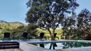 a pool with chairs and a table and a tree at Baubrasil Village in Tiradentes