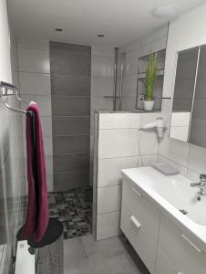 y baño con lavabo blanco y espejo. en foxxbau - urlaubswohnen im Saarschleifenland, en Merzig