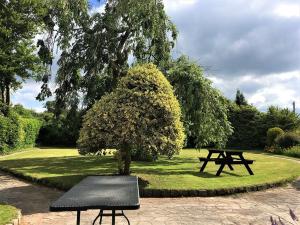 アルトンにあるShaw Houseの公園内の木とピクニックテーブル