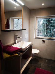 een badkamer met een wastafel, een toilet en een spiegel bij Erwin's in Bildstein