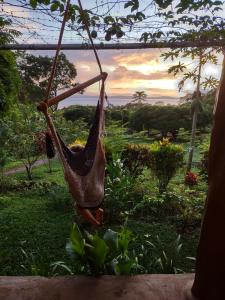 a hammock hanging from a tree in a garden at Finca Mystica in Mérida