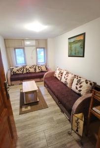 a living room with a couch and a table at Danube fairy in Futog