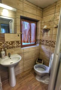 La salle de bains est pourvue d'un lavabo, de toilettes et d'un miroir. dans l'établissement Danube fairy, à Futog