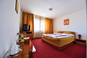 une chambre d'hôtel avec un lit et une télévision dans l'établissement Motel Confort, à Floreşti