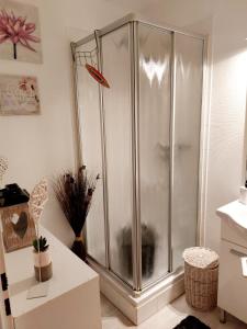 een douche met een glazen deur in de badkamer bij Chez mimi in Toulouse