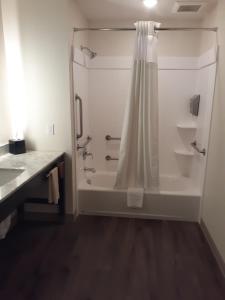Simple Suites Boise Airport的一间浴室