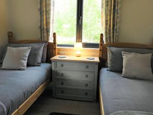 Halwill的住宿－Primrose Lodge - Uk13447，一间卧室配有两张床和一个带台灯的梳妆台