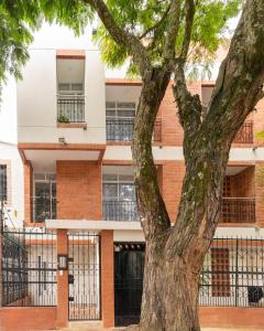 un árbol frente a un edificio en Edificio Vida Nueva, en Cali