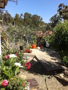 En trädgård utanför Cabaña romantica ideal para ir en pareja