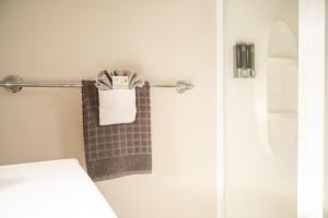 - un porte-serviettes à côté des toilettes dans la salle de bains dans l'établissement Tarawera River Lodge Motel, à Kawerau