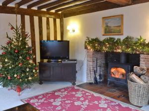 a living room with a christmas tree and a television at Old Hall Farm House in Saint James