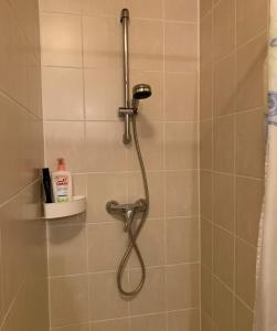 a shower with a shower head in a bathroom at Havre de paix - chambres dhotes in Bellegarde-sur-Valserine