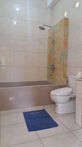uma casa de banho com um WC, um chuveiro e um tapete azul em Tasikdumun homestay em Amed