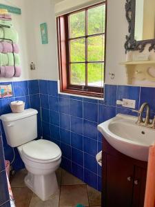 a blue tiled bathroom with a toilet and a sink at Villa Lisa Bermuda in Southampton