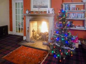 a christmas tree in a living room with a fireplace at Find Me Out - Sccw in Dalmellington