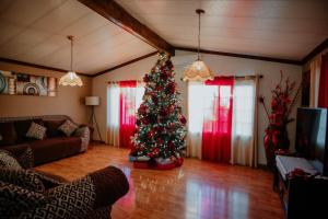 Un árbol de Navidad en medio de una sala de estar en Cabaña R y A Valle de Guadalupe, en Valle de Guadalupe