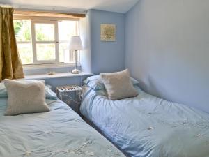 a blue room with two beds and a window at Honeysuckle Cottage in Helmsley