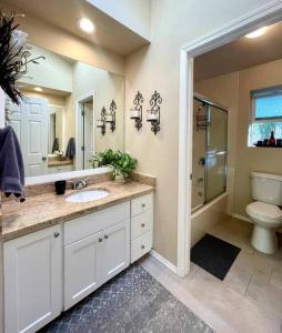 a bathroom with a sink and a toilet and a mirror at Livable D near Lake Washington in Lake Forest Park