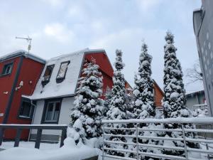 un gruppo di alberi ricoperti di neve accanto a un edificio di Stajnia a Szklarska Poręba