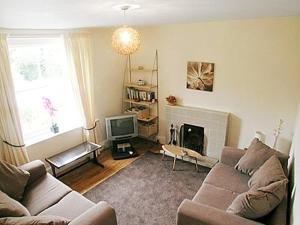 a living room with a couch and a fireplace at Tacker Street Cottage in Withycombe