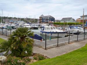 a bunch of boats are docked in a marina at Marina View in East Cowes