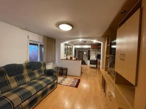ein Wohnzimmer mit einem Sofa und einer Küche in der Unterkunft Ada-Ini House in Craiova
