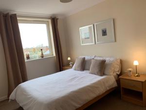 a bedroom with a white bed with a window at Cosy 2 bed flat near train station Basingstoke with FREE Parking! in Basingstoke