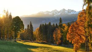 Fotografia z galérie ubytovania Holzerjuwel - Minzlhof Ramsau am Dachstein v Ramsau am Dachstein
