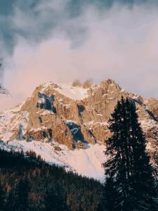 Fotografia z galérie ubytovania Holzerjuwel - Minzlhof Ramsau am Dachstein v Ramsau am Dachstein