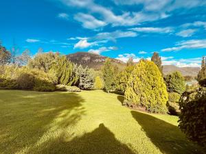 Foto dalla galleria di Swiss Chalet Clarens a Clarens