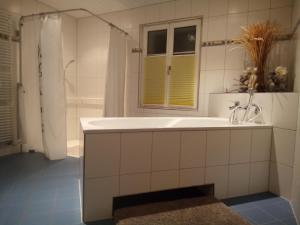 Ванна кімната в Gästehaus Aemisegg