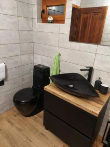 a bathroom with a black toilet and a sink at Hiška oddiha - Rest house in Sromlje