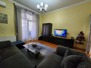 a living room with a couch and a television and a christmas tree at Apartment at Baratashvili 10 in Tbilisi City