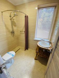 a bathroom with a sink and a shower and a toilet at DACHA на Магурі in Pilipets