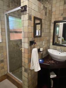 a bathroom with a sink and a shower at The Cottage in Somerset West
