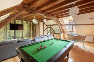 ein Wohnzimmer mit einem Billardtisch in der Unterkunft Crazy Villa Ricardière 89 - Indoor heated pool - Basket - 2h Paris - 30p in Charny