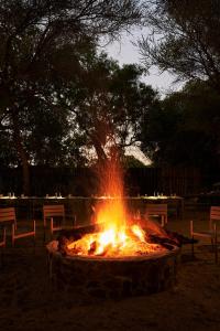 Φωτογραφία από το άλμπουμ του Letamo at Qwabi Private Game Reserve by NEWMARK σε Bela-Bela