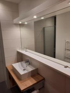 ein Bad mit einem Waschbecken und einem Spiegel in der Unterkunft Landhaus Ferk in Bad Radkersburg
