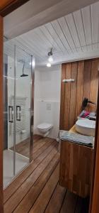 a bathroom with a shower and a sink and a toilet at La Ferme de L'Etang in Trélévern +55 photos
