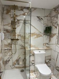 ein Bad mit einem WC und einer Glasdusche in der Unterkunft terfyn hall holiday apartment 3 stargazer in Prestatyn