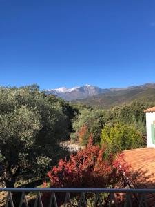 uma vista a partir da varanda de uma casa com árvores e montanhas em Villa Bonheur Vallespir em Céret