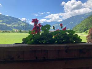 Paesaggio naturale nelle vicinanze dell'affittacamere