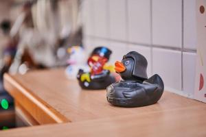 Billede fra billedgalleriet på zeitweise[.]haus Denkerhaus und Stadtoase i Weingarten + 61 billeder