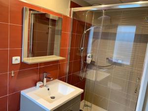 La salle de bains est pourvue d'une douche, d'un lavabo et d'un miroir. dans l'établissement chambre indépendante chez particuliers avec salle de bain privative, à Anse