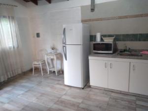 a kitchen with a refrigerator and a table with a microwave at Departamento Tunuyán in Tunuyán