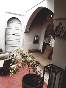 un salon avec un canapé et une plante en pot dans l'établissement Riad Laly Tourisme Eclairé Le bijou de la medina, à Marrakech